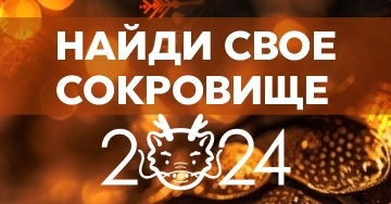 НОВОГОДНИЕ ПОДАРКИ 2024