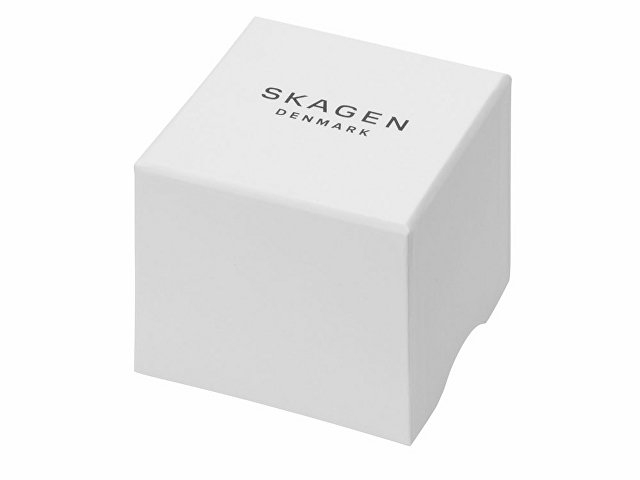 Подарочный набор: часы наручные мужские, браслет. Skagen