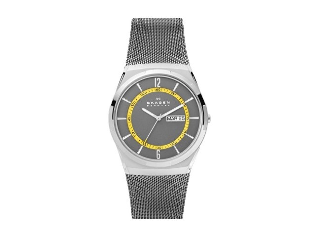 Часы наручные, мужские. Skagen