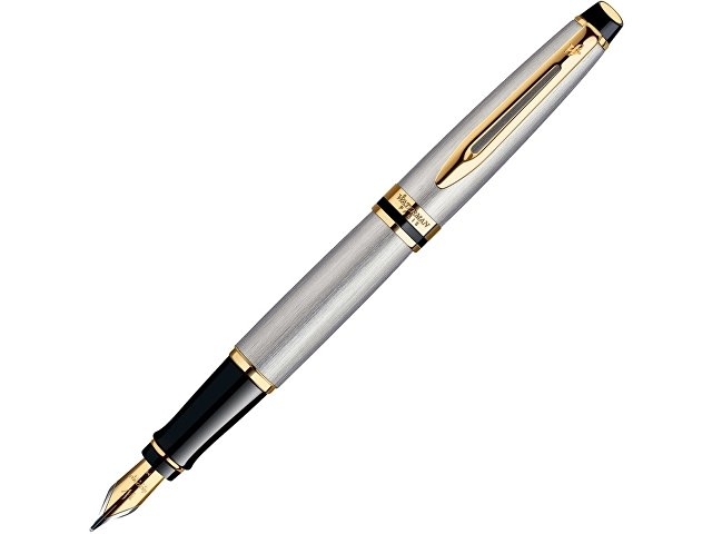 Ручка перьевая Waterman «Expert 3 Stainless Steel GT F», серебристый/золотистый