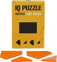 Головоломка IQ Puzzle Figures, прямоугольник