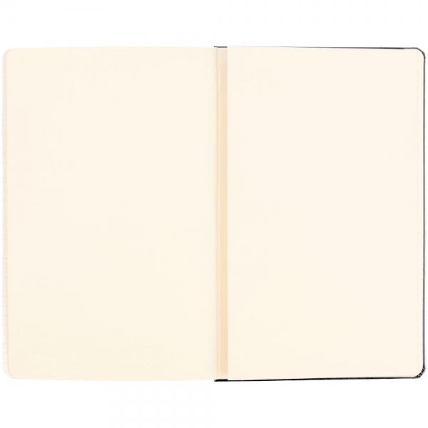 Записная книжка Moleskine Classic Large, в клетку, черная