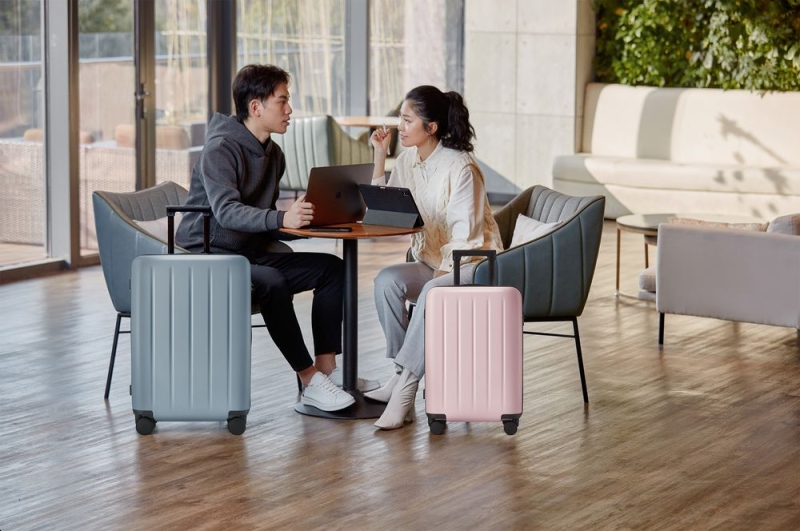 Чемодан Danube Luggage S, серый