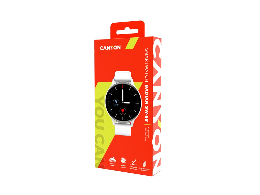Смарт-часы Canyon SW-68  Badian, IP68, серебряный (Р), серебристый