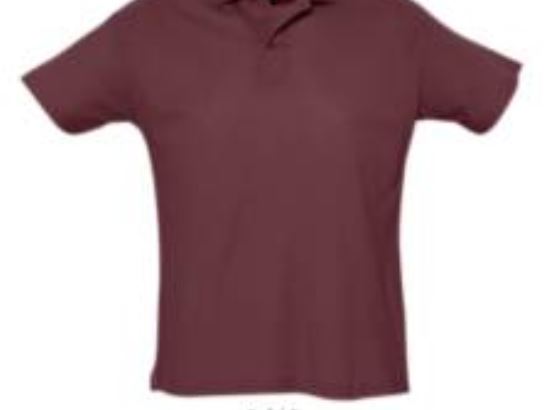 Рубашка поло мужская SUMMER II, бордовый, 100% хлопок, 170 г/м2