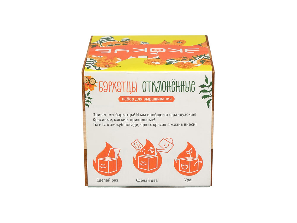 Набор для выращивания Экокуб Magicme Бархатцы, желтый