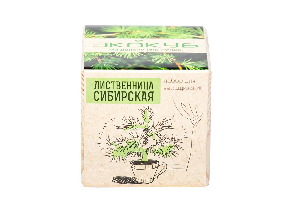 Набор для выращивания Экокуб Classic Лиственница Сибирская, бежевый