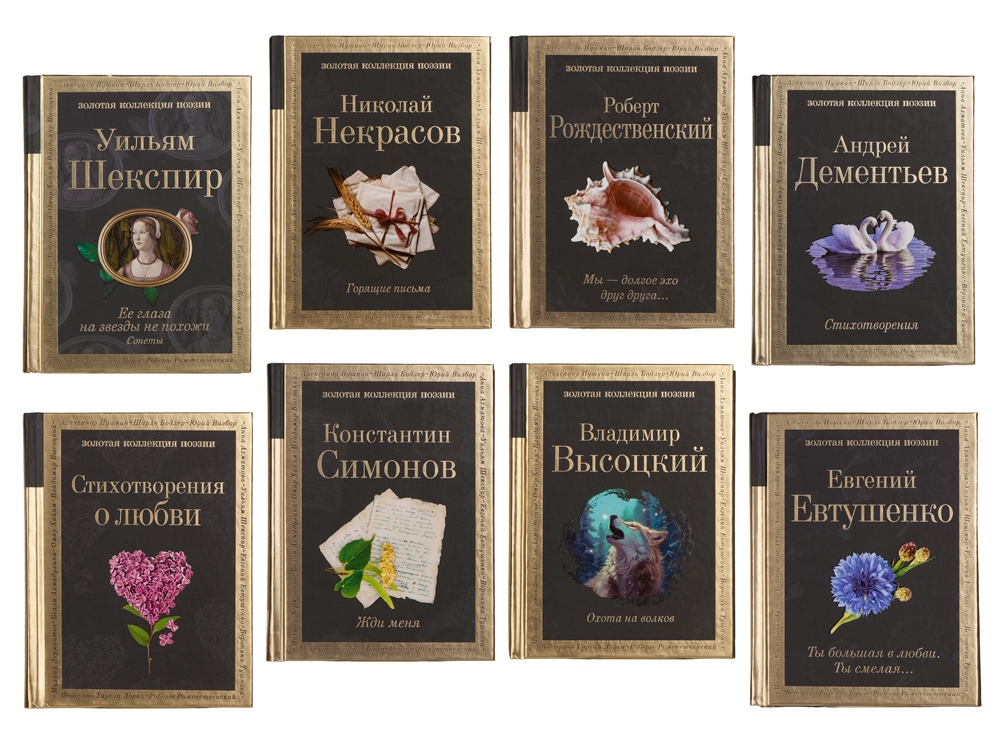 Набор книг Шкаф мудрости (коричневый, прозрачный, черный, золотистый)