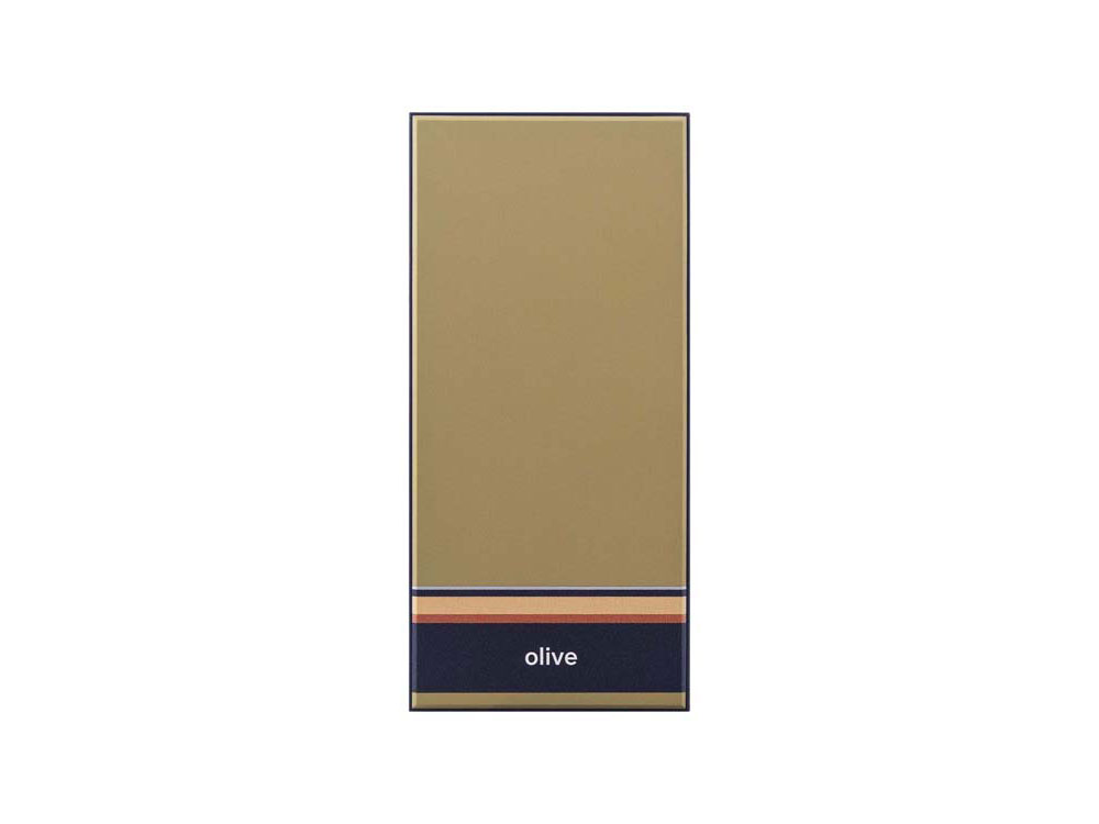 Внешний аккумулятор Rombica NEO ARIA Olive, 10000мАч, Soft-touch, PD, QCharge, Type-C, оливк/синий, оливковый, синий