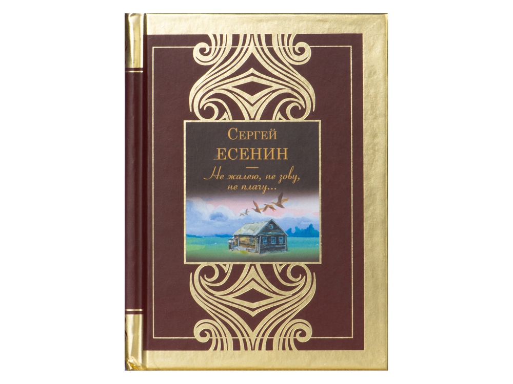 Набор книг Шкаф мудрости (коричневый, прозрачный, черный, золотистый)