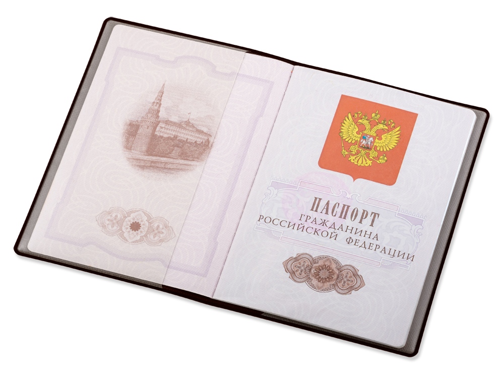 Классическая обложка для паспорта Favor, коричневая, серый прозрачный