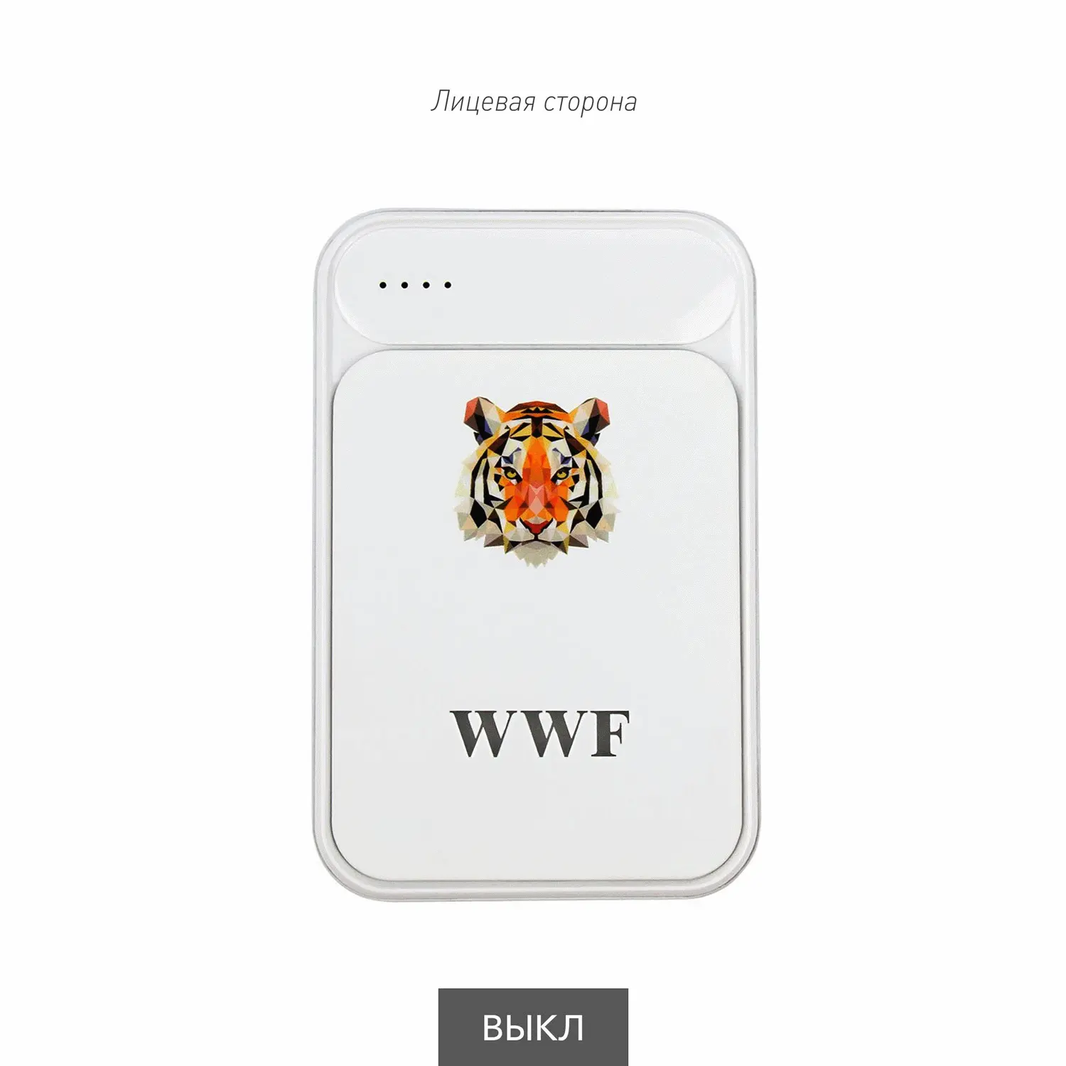 6.webp